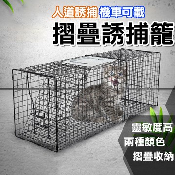 【台灣現貨】折疊式誘捕籠 誘捕籠 摺疊誘捕籠 機車可載 狗籠 貓籠