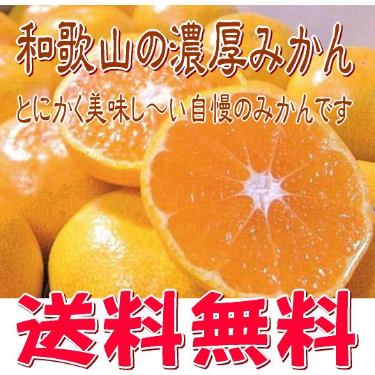 和歌山産 高糖度の温州みかん とろける美味しさ！Lサイズ　5kg