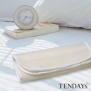 TENDAYS 立體蜂巢透氣網(枕頭用)