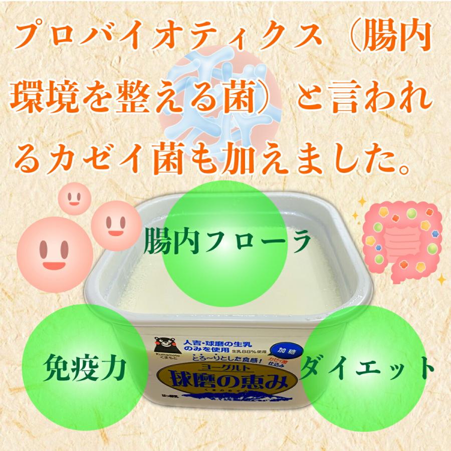 球磨の恵み　飲むヨーグルト　150ｇ×36本 （5.4キロ）人吉球磨の生乳を１００％使用した飲むヨーグルト ドリンクヨーグルト 腸活 カゼイ菌 もっちり とろーり