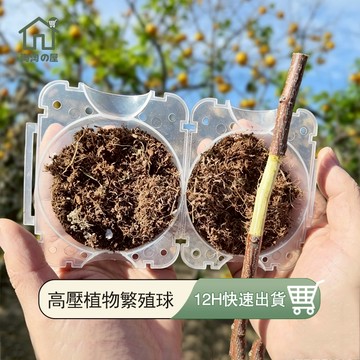 高壓繁殖球 高壓生根球 植物繁殖球 嫁接球 高壓植物繁殖球 高壓球 高壓盒 生根器 扦插嫁接生根盒 植物繁殖盒 淘淘屋