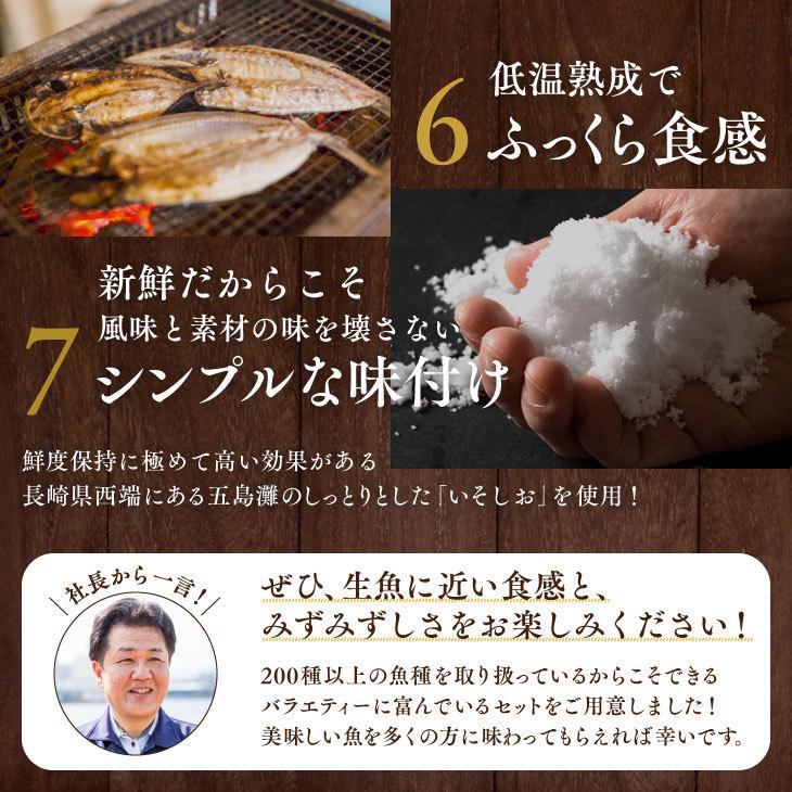 産地直送九州 お取り寄せ 干物 ひもの 食べ比べ 豪華 魚 添加物不使用 無添加 お歳暮 ギフト 贈答 記念 おつまみ 帰省暮 送料無料