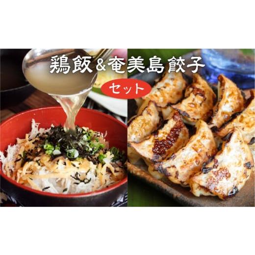 ふるさと納税 鹿児島県 奄美市 奄美のおもてなし料理「鶏飯」＆こだわりの奄美島豚餃子セット 郷土料理 惣菜 島料理 ご当地グルメ おもてなし料理 鹿児島 奄…