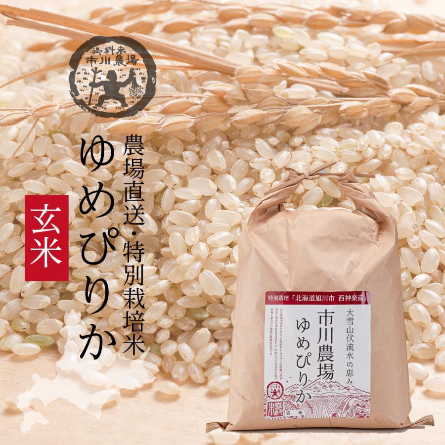 ゆめぴりか玄米 10kg 送料無料 北海道米 農家直送 令和5年産 北海道旭川産 お米 米 ギフト