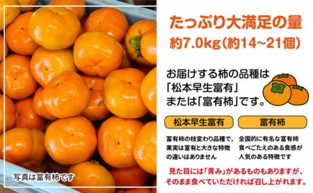 全国でも有名な「綾川町産千疋の柿」訳ありサイズ混合 約7.0kg