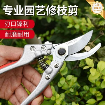 【省力鋒利】果樹修剪刀 園藝剪刀 修枝剪 花藝剪刀 樹枝剪 園林工具 日本SK5鋼材 防滑手柄 園丁花農專用