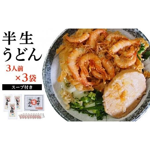 ふるさと納税 香川県 坂出市 半生うどん 9食入