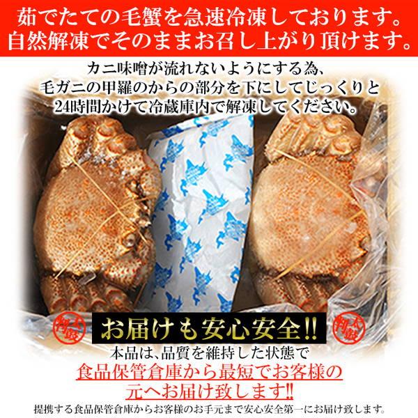 毛ガニ 毛蟹 ボイル 北海道産 400g×2尾 ギフト対応可 冷凍便