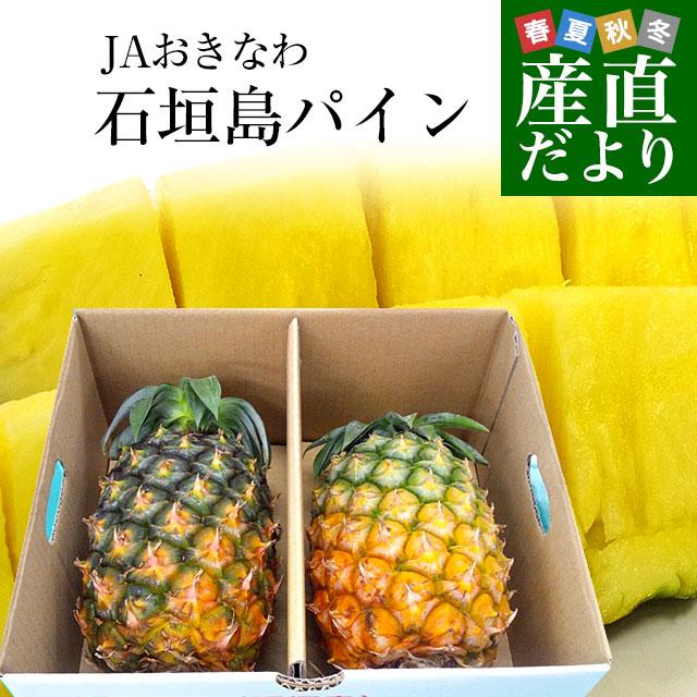 沖縄県より産地直送　パイナップル　送料無料　JAおきなわ　石垣島パイン2玉　沖縄パイン　(合計約2キロ)　LINEショッピング