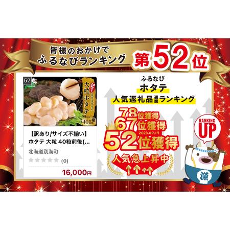 ふるさと納税 ホタテ 大粒 40粒前後(約1kg) 旨さ 際立つ ！ 野付産 ほたて（ ほたて ホタテ 帆立 貝柱 訳アリ 訳あり 増.. 北海道別海町