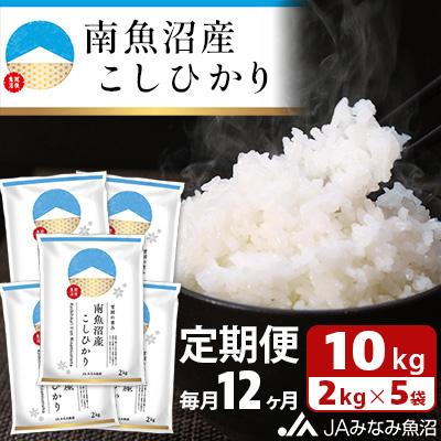 ふるさと納税 南魚沼市 南魚沼産こしひかり 精米 10kg(2kg×5袋)全12回