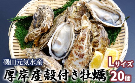 厚岸産 殻付き牡蠣Ｌサイズ20個入(加熱容器付)北海道 牡蠣 カキ かき 生食 生食用 ミルク レンジ