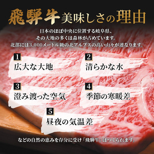 飛騨牛 牛肉 切り落とし 500g×4 計2kg A5 和牛