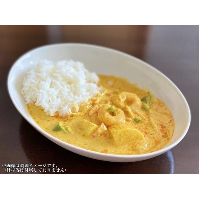 タイ風グリーンカレー　＆　スリランカ風チキンカレー　会員価格500円　コンビセット　2人前　レトルト　お取り寄せ　メール便商品　お試しグルメギフト