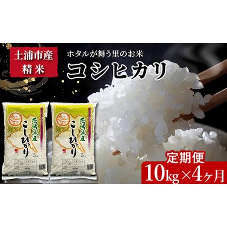 ふるさと納税 令和5年産新米　土浦市産コシヒカリ　精米10kg　ホタルが舞う里のお米 ※離島への配送不可 茨城県土浦市