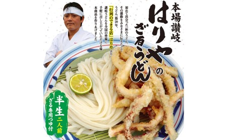 うどん 香川県民が並んでも食べたい店 はりや さぬきうどん 10人前 名店 讃岐うどん 麺類 ギフト お中元 コシ 生麺 ぶっかけ 冷凍 半生麺 加工食品 引っ越し 製麺 茹でる