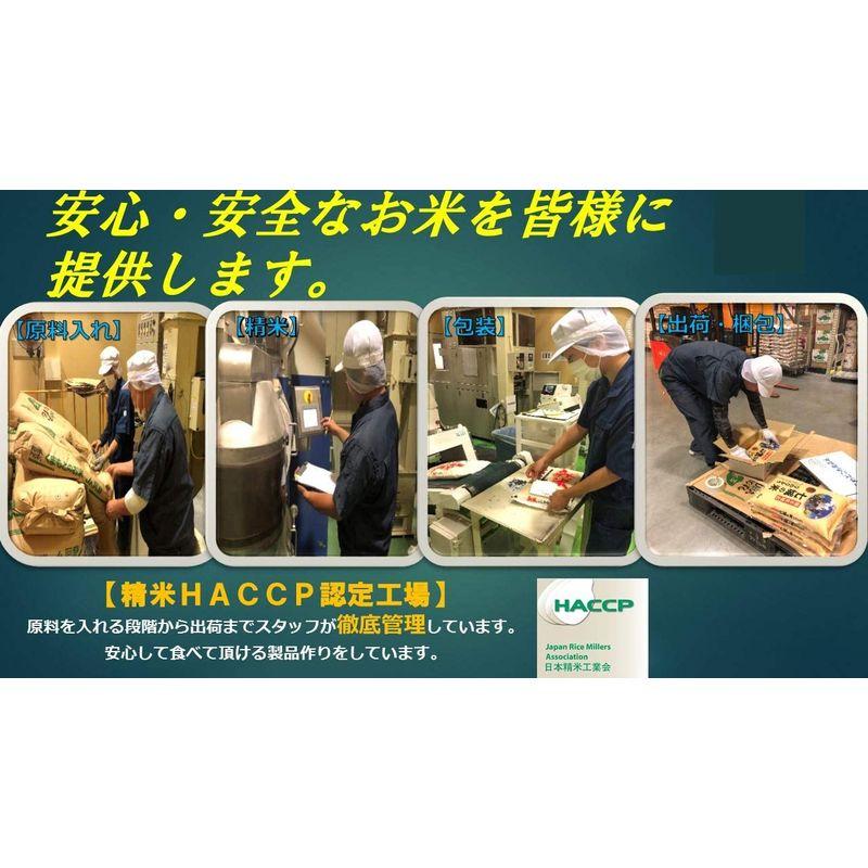 米 お米 ５ｋｇ 無洗米 くまモン 森のくまさん 熊本県産 白米 令和４年産