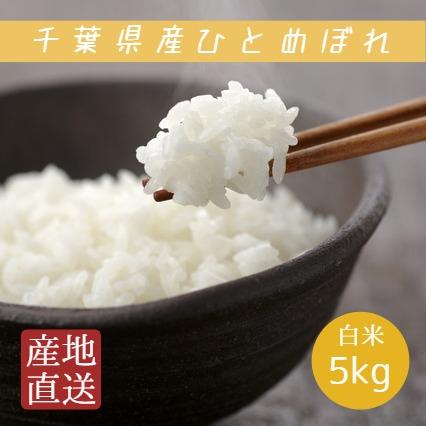 新米 米 お米 白米 5kg 令和5年産 ひとめぼれ 本州四国 送料無料 ヒトメボレ