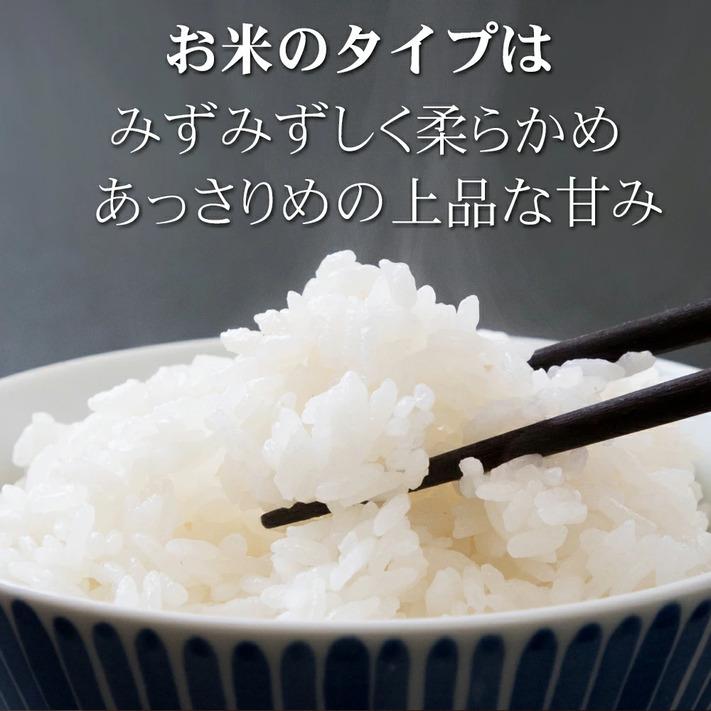 新米 令和5年 米 お米 10kg コシヒカリ 新潟県安塚産棚田米 コシヒカリ