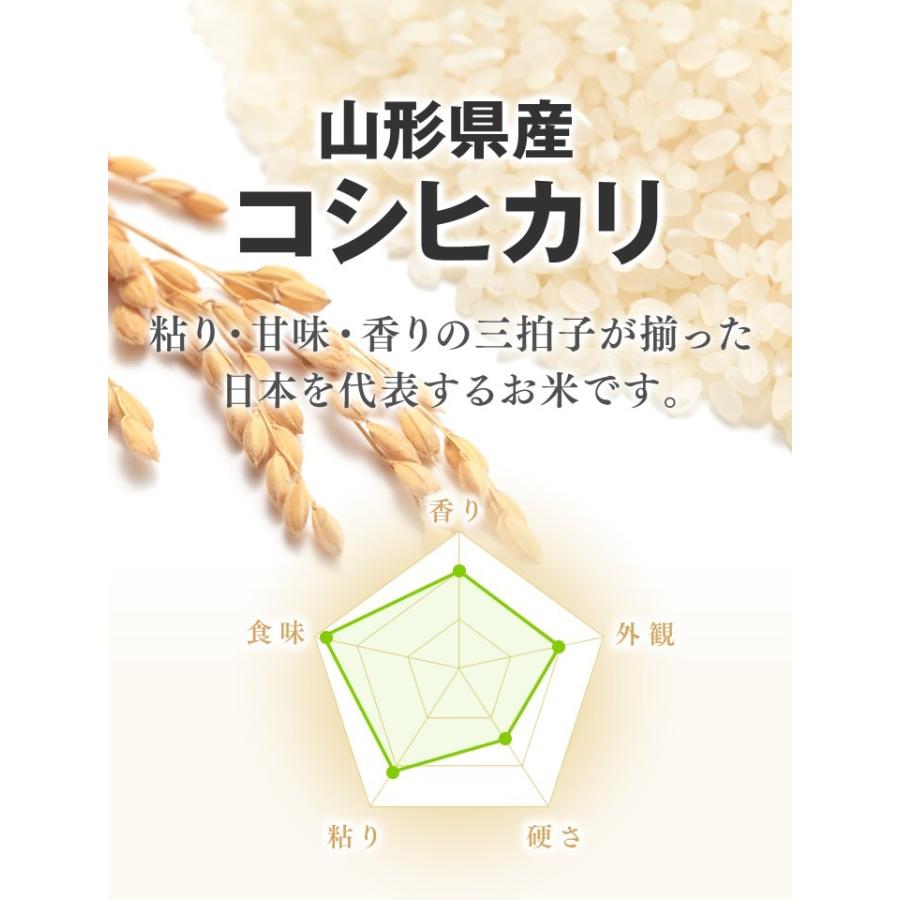 お米 20kg (5kg×4袋) 新米 コシヒカリ 山形県産 令和5年産 精米 お米 ryk2005