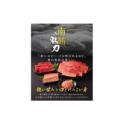 ふるさと納税 静岡県 焼津市 b10-072　天然本まぐろ 南まぐろ食べ比べセット 4回隔月でお届け