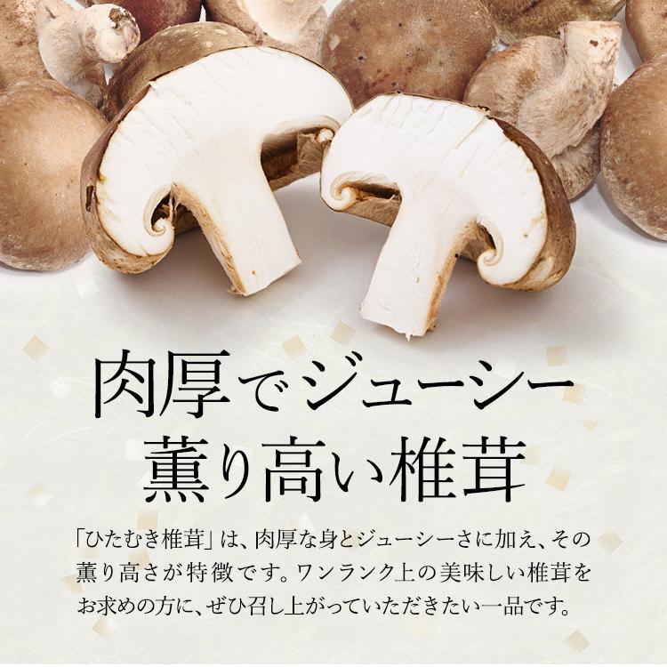 ひたむき椎茸 1kg