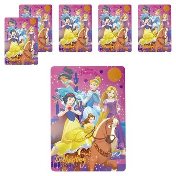 收納王妃 迪士尼 公主系列 雙面墊板 WP0597 6個 1組  25.4  x 18.2cm  5位公主款