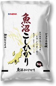 魚沼産 白米 コシヒカリ 5kg 令和3年産