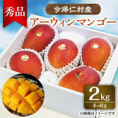 ふるさと納税 今帰仁村 今帰仁村産アーウィンマンゴー秀品2kg