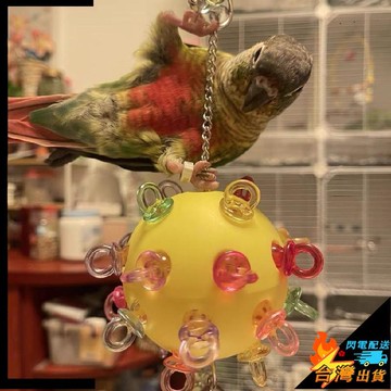 【台灣出貨】寵物玩具 鸚鵡玩具 小寵玩具 鸚鵡啃咬奶嘴 小鳥站台 啃咬球 娛樂解悶 開發智力 防咬毛