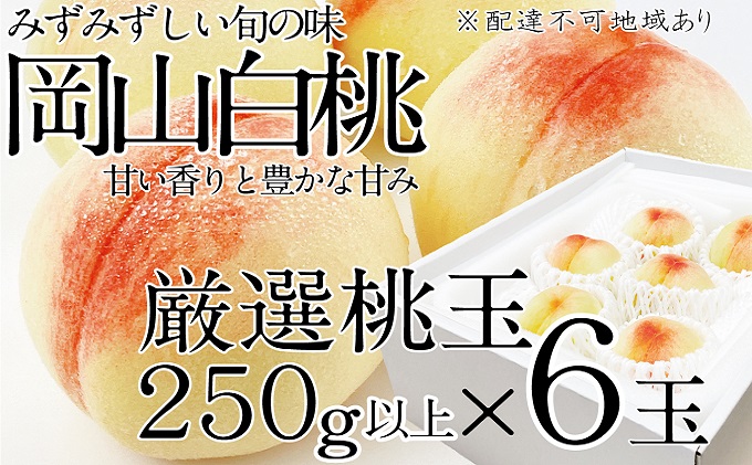 桃 2024年 先行予約 岡山の白桃 250g以上×6玉 白桃 旬 みずみずしい 晴れの国 おかやま 岡山県産 フルーツ王国 果物王国