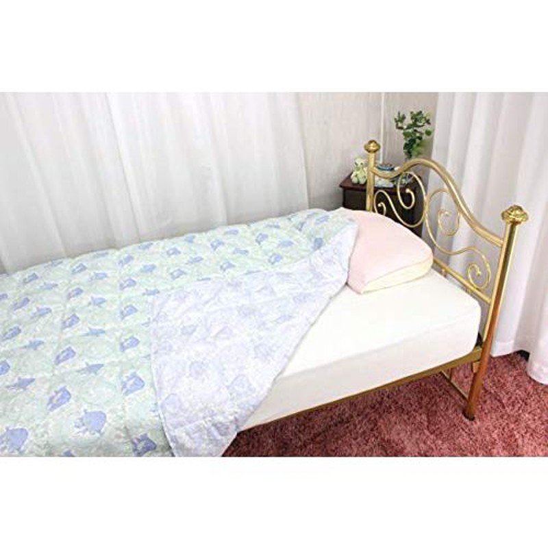 メール便指定可能 ロマンス小杉 冷房対策 V&A 羽毛 肌掛け布団