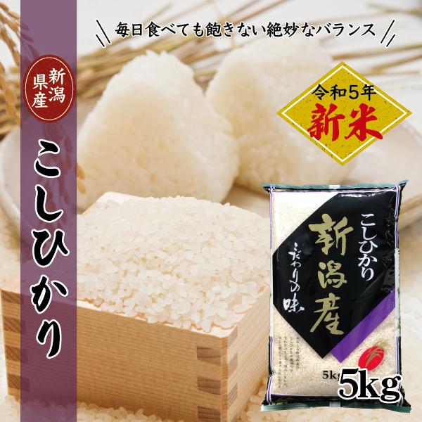 新米 令和5年産米 5kg コシヒカリ 新潟 送料無料 あすつく 美味しい お米  新潟県産 こしひかり 産直 白米 おいしい お米