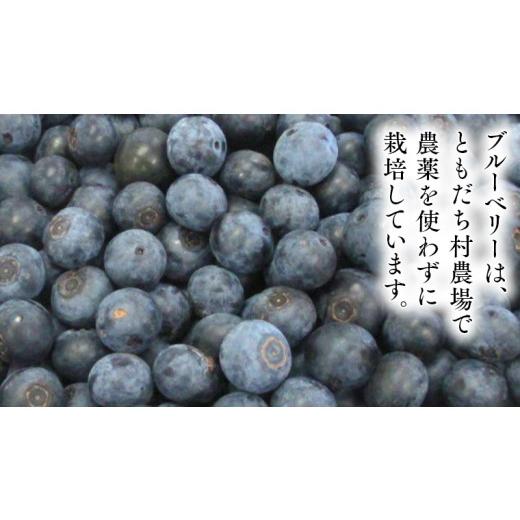 ふるさと納税 茨城県 つくばみらい市  つくばみらい市 産 冷凍 ブルーベリー 1kg 500g ×2パック 国産 農薬無使用 自…