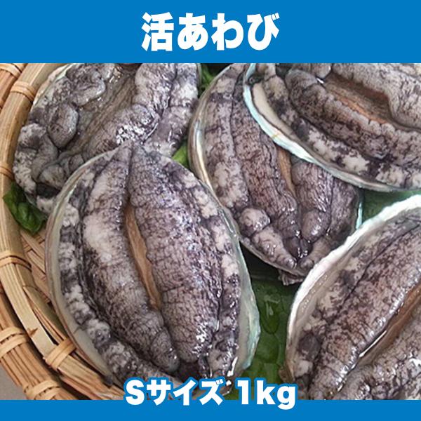 生きているから肝までお刺身品質 活あわび Sサイズ 1kg