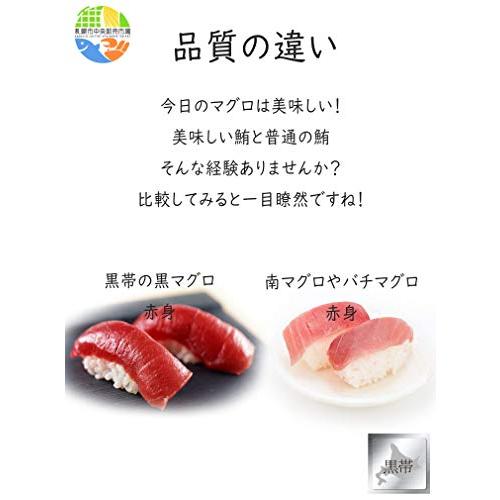 本マグロ 黒マグロ まぐろ 200g前後 パック お刺身 お寿司 海鮮丼用 鮪 赤身 (1パック)