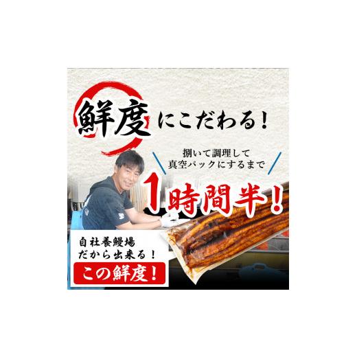 ふるさと納税 鹿児島県 東串良町 ＜定期便・全3回＞東串良町のうなぎ蒲焼(無頭)(4尾・計約720g・タレ、山椒付×3回)