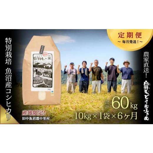 ふるさと納税 新潟県 十日町市 ≪令和5年産≫農家直送！魚沼産コシヒカリ特別栽培「白羽毛の米」精米 (10kg×1袋)×6回 60kg