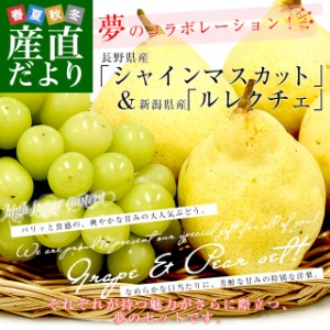 豪華フルーツセット 長野県産 シャインマスカット 1房 約500g ＆新潟県産 ルレクチェ 4玉（1玉：約270g）送料無料 ギフト フルーツギフト