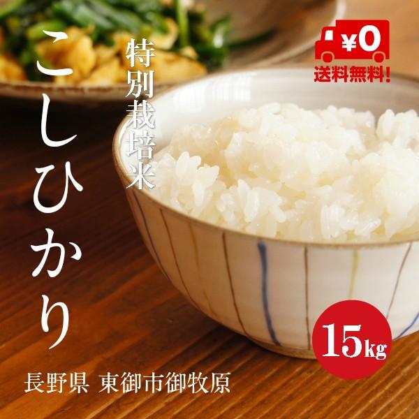 新米 令和５年産 特別栽培米  こしひかり 御牧原産 １等米 白米 １５kg