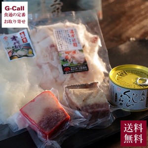 長崎くじら詰め合わせセット 竹セット 送料無料 大和煮缶詰 湯かけ鯨 上オバ鯨 ベーコンブロック さえずりブロック 鯨 クジラ 珍味 おつ