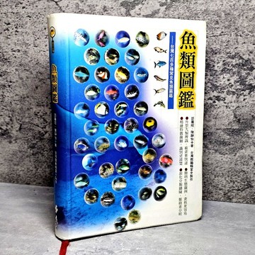 ➤〔特價出清〕絕版稀有➤軟精裝《魚類圖鑑》邵廣昭、陳靜怡 / 遠流
