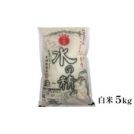 ふるさと納税 有機米こしひかり「水の精」白米5kg 石川県能美市