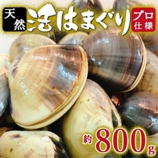 天然はまぐり約800g (千葉県産)