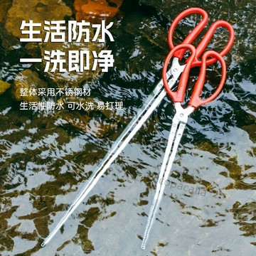 【臺灣熱銷】鱔魚夾泥鰍螃蟹鉗子不鏽鋼黃鱔夾子防滑防脫抓捉專用工具趕海神器【推薦】