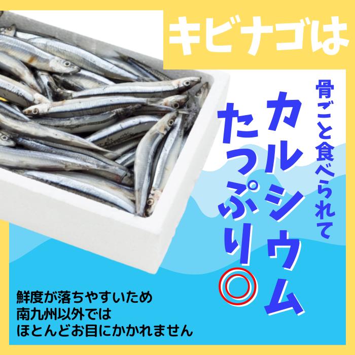 惣菜 常温 きびなごのオイル漬け 3種セット 鹿児島産 レトルト食品 おつまみ 骨ごと そのまま食べられる 君とキビナゴ  お試し価格