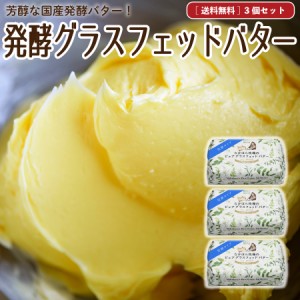 発酵グラスフェッドバター 国産 送料無料 100g×3個 ノーマル＆発酵 お取り寄せ ［冷蔵   冷凍可］ aug