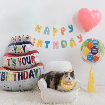 🐕‍🦺隔日到貨🐈‍⬛  貓咪生日 狗狗生日 寵物生日 寵物生日佈置 寵物生日慶生 貓咪 狗狗 生日派對 寵物生日趴