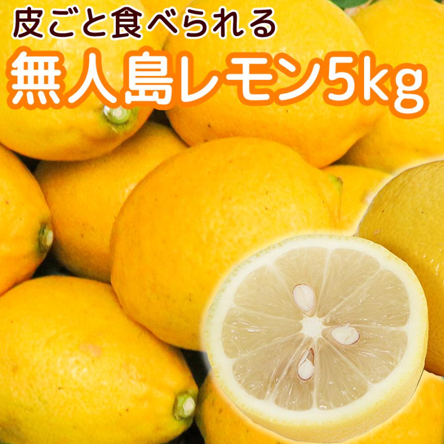 農園直送　広島産 無人島のレモン 約５ｋｇ サイズいろいろ 皮まで食べられます 送料込み 国産レモン 越智農園