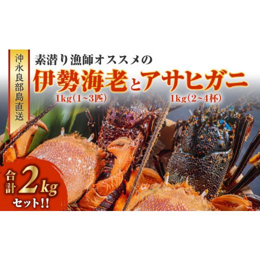 ふるさと納税 鹿児島県 和泊町 ■沖永良部島直送！素潜り漁師オススメの伊勢海老1キロ（1〜3匹）とアサヒガニ1キロ（2〜4杯）　合計2キロセット！！